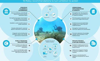 260622_Policy Recommendations_(ENG) (1)_page-0001.jpg