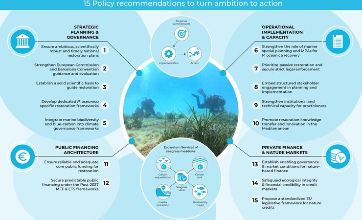 260622_Policy Recommendations_(ENG) (1)_page-0001.jpg