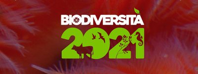 Biodiversità2021.JPG