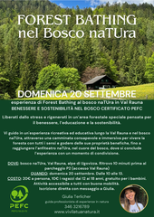 FOREST BATHING nel Bosco naTUra 20 settembre PEFC Foresta Tour in FVG