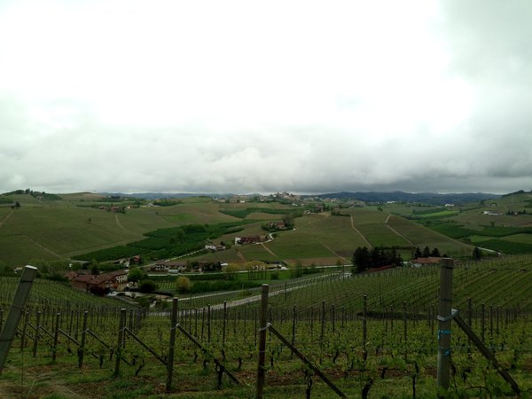 langhe_paesaggio.jpg