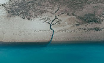 make sustainability visibile